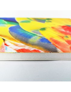 Foam