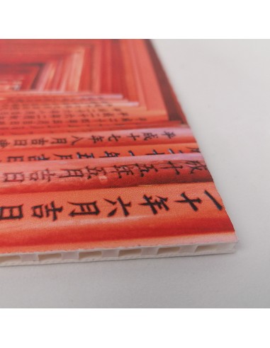 Polipropileno Alveolar Polipropileno Alveolar