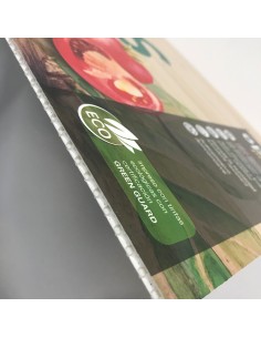 Polipropileno Alveolar 2