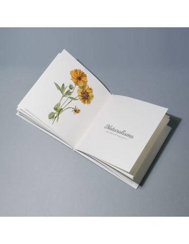 Catálogos Catálogos