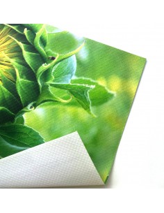 Eco Banner
